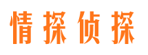 武城市婚姻调查